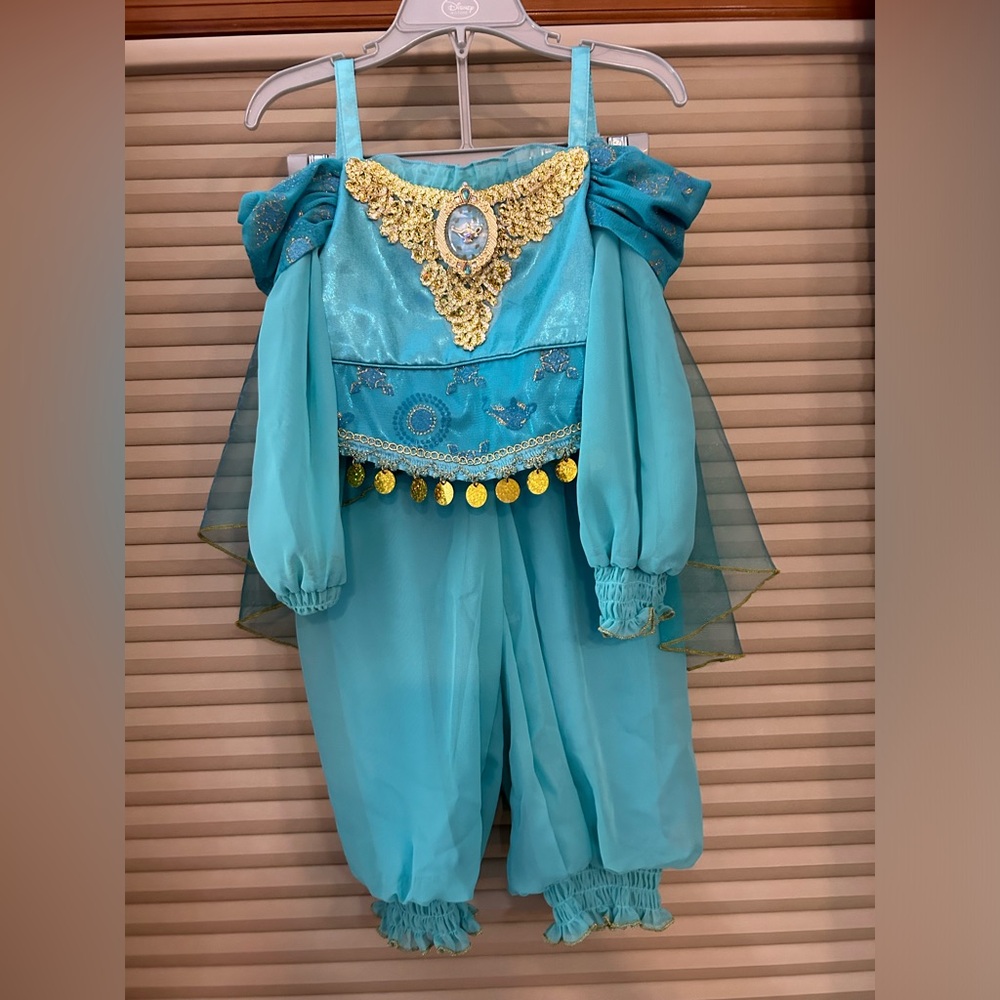 Princess Jasmine Disney Outfit